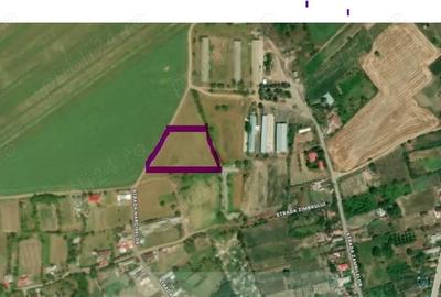 Teren de 7000 mp, în Telița - 2