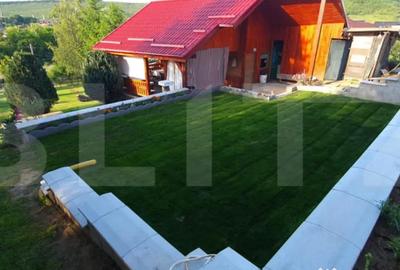 Casă cu 1 camere cu Teren 1824 Mp în Livezeni - 1