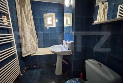 Apartament de 3 camere, decomandat, parter, zona Valea Rosie - 12