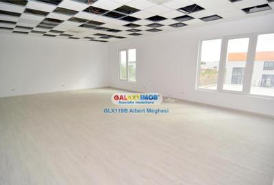 Hala 572 mp Chiajna - 1