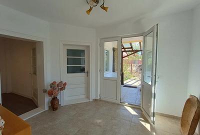 Casă cu 5 camere cu Teren 2509 Mp în Icoana - 3