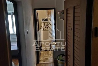 Garsoniera in zona Complexului Studentesc, la parter, 25 mp Garsoniera in zona Complexului Studentesc, la parter, 25 mp - 7