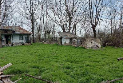 Teren de 2137 mp, în Șerbănești (Rociu) - 7