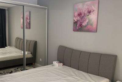 Apartament cu 2 camere decomandat, mobilat în Theodor Pallady - 4