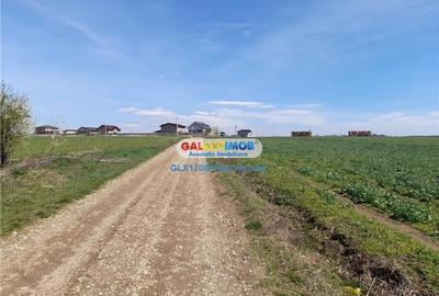 Teren Balotesti Saftica 1250 mp str Lacului cu utilitati apropiere - 2