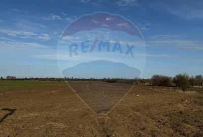 Teren de vânzare in  Giurgiu -  Șoseaua Balanoaiei- ieșire DN5B - 2