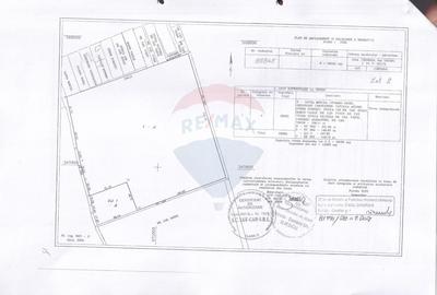 Teren Cocani Crevedia 39.063 mp posibilitate extindere cu 40.000 mp - 3