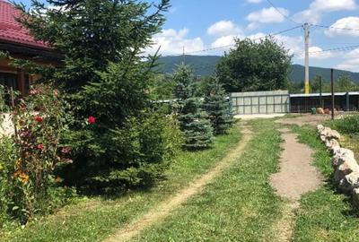 Casă cu 3 camere în Vad - 10