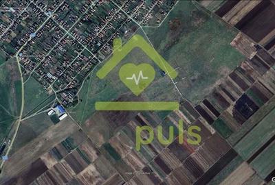 ? Teren extravilan la Pesac de 5.000 mp (1,4 euro/mp)? - 3