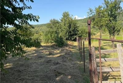 Apartament cu 4 camere în Săliște - 1
