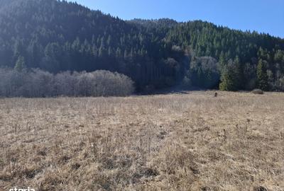 Spațiu comercial, în Brateș - 3