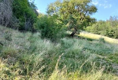 Spațiu comercial, în Poiana Ampoiului - 11