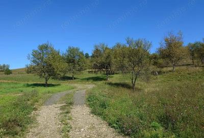 Teren de 8757 mp, în Luncoiu de Sus - 9