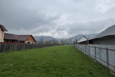 Spațiu comercial, în Dărmăneasca - 5