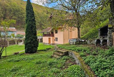 Vila Exclusivista Vetel,valea Caoiului - 1