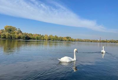 Lacul Tei x D-na Ghica, palat, pe marginea parcului Plumbuita - 3
