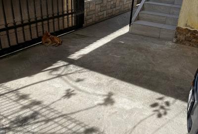 Casă cu 2 camere în Viile Noi - 9