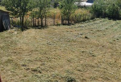 Casă cu 2 camere în Dumești - 9