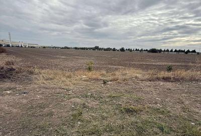 Teren de 10000 mp, în Nord - 5