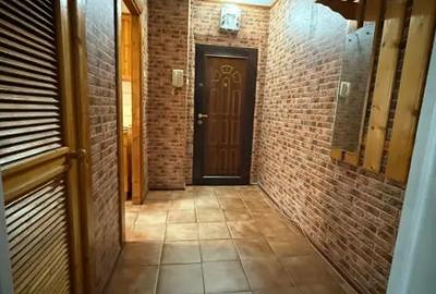 Apartament cu 2 camere semidecomandat, mobilat în Brazda lui Novac - 10