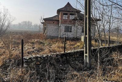 Casă cu 7 camere cu Teren 5000 Mp în Grădiștea - 4