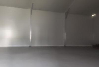 Hala noua 600 mp Giurgiului ( Progresul ) - 2