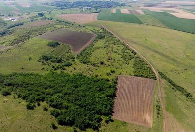 Teren arabil de 174 hectare în Călărași - 4