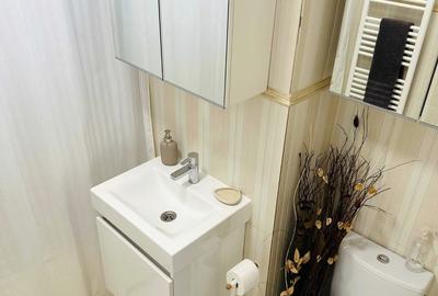 Garaoniera centrala proprie - decebam- muncii + Loc Parcare DB1317 - 3