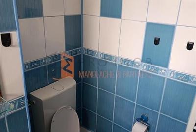 Apartament 2 camere semidecomandat  zona Micro 14 langa Parcul Crang - 13