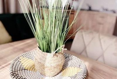 Garsonieră, mobilată în Timpuri Noi - 2