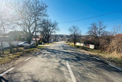 Teren intravilan de 5544 mp, în Moi - 5