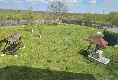 Ciopani vila 5 camere teren 4000 mp - 2