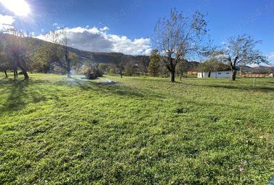 Casă cu 3 camere în Copalnic - 7