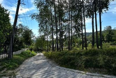 Teren de 1200 mp, în Lac de Verde - 4