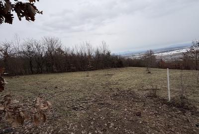 Spațiu comercial, în Buzești - 4