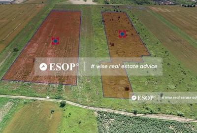 Spațiu industrial, de 5,900 mp, în Vest - 3