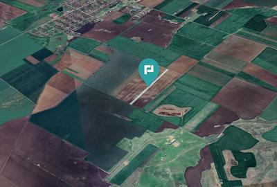 Teren 30.000 mp la drum asfaltat – Peciu Nou - 1