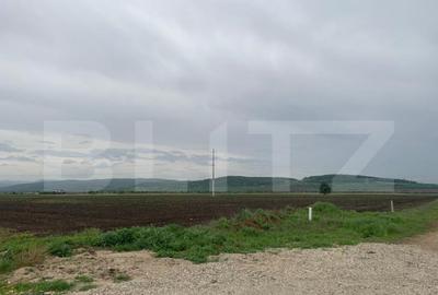 Teren intravilan, 41000 cu PUZ pentru hala, zona Alba-Sebes Teren intravilan, 41000 cu PUZ pentru hala, zona Alba-Sebes - 2