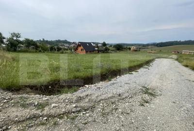 Teren de vanzare zona Subcetate, aproape de str. Tarp - 2