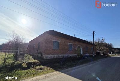 Casă cu 4 camere cu Teren 1440 Mp în Livada - 4