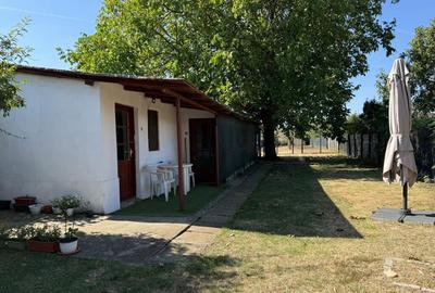 Proprietate ideala pentru familie Boldesti-Scaeni - 7