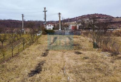 Teren Construcții intravilan de 1500 mp, în Bonț - 6