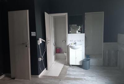 Spațiu comercial, de 403 mp, în Serele Vișoianu - 6