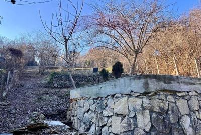 Spatiu de birouri de inchiriat - la casa cu 4 apartamente pe Racovita - 36