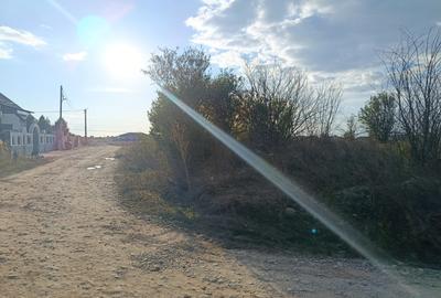 Teren pentru Constructii str.Ortansei -str Orhideei deschidere 364m pe 30m Teren pentru Constructii str.Ortansei -str Orhideei deschidere 364m pe 30m - 4