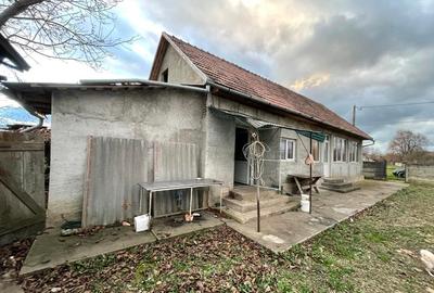Casă cu 3 camere cu Teren 2700 Mp în Central - 5