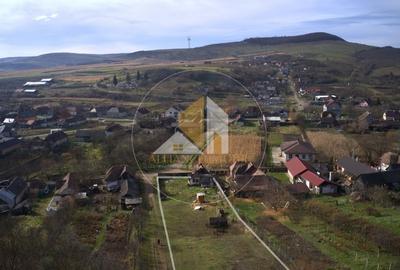 Teren intravilan de vanzare - Dipsa - 5