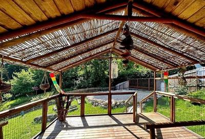 TEREN UNIC in Schei cu cabana - 6