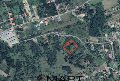 Teren de 5000 mp, în Cisnădioara