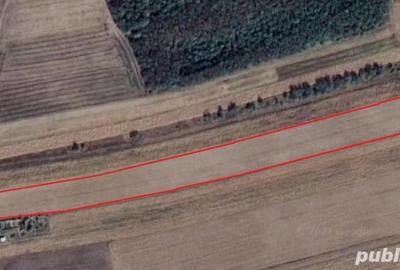 Teren de 11000 mp, în Lăceni - 2